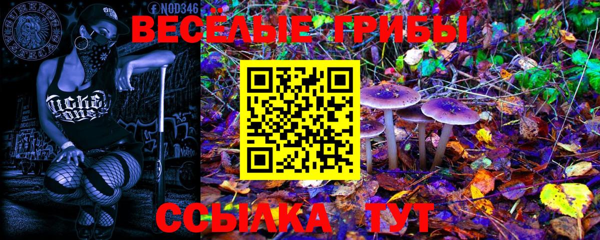 купить  сайты  Вход с VPN  Магадан  Галлюциногенные грибы ЛСД 